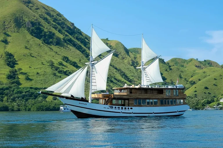 Raffles Cruise