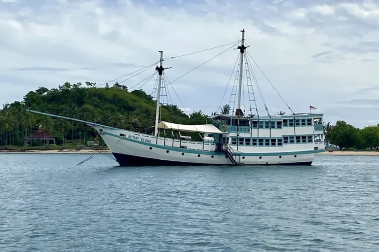 Sehat Elona (From Lombok)